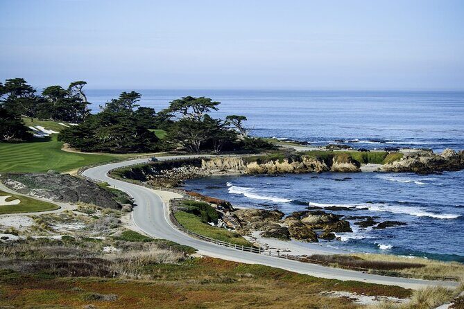 17-Mile Drive, Monterey Peninsula &Carmel Max 12 Small Group Tour - Lone Cypress: the classic tree shot, plus the calm around it