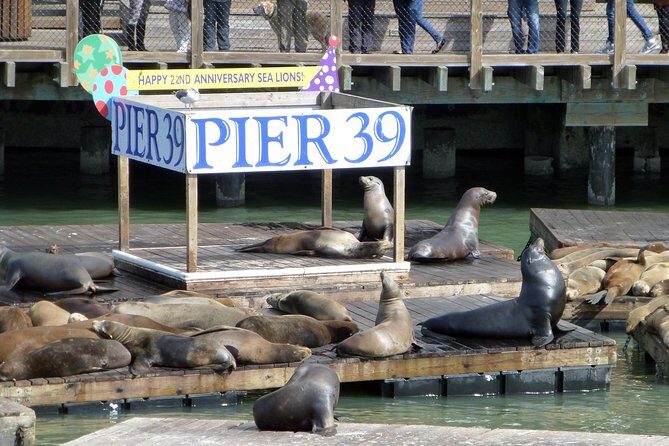 2 Day Hop-On Hop-Off Tour Plus Night Tour - How the 2-Day Hop-On Hop-Off Pass Works in San Francisco