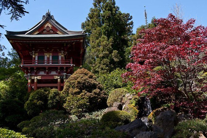 2 Day Hop-On Hop-Off Tour Plus Night Tour - The live night tour: SF after dark with a real guide