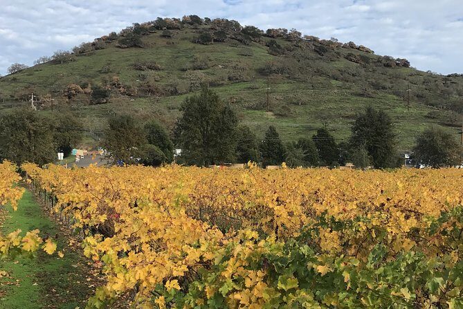 8hr Private Sonoma and Napa Wine Tour from San Francisco.XL SUV - The Real Value: What You Pay For (and What You Still Need to Budget)