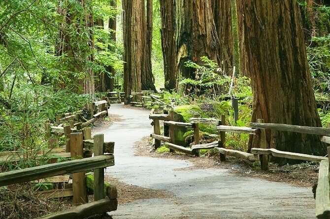 Alcatraz Muir Woods Express with Golden Gate Bridge Visit - Key highlights you’ll feel right away