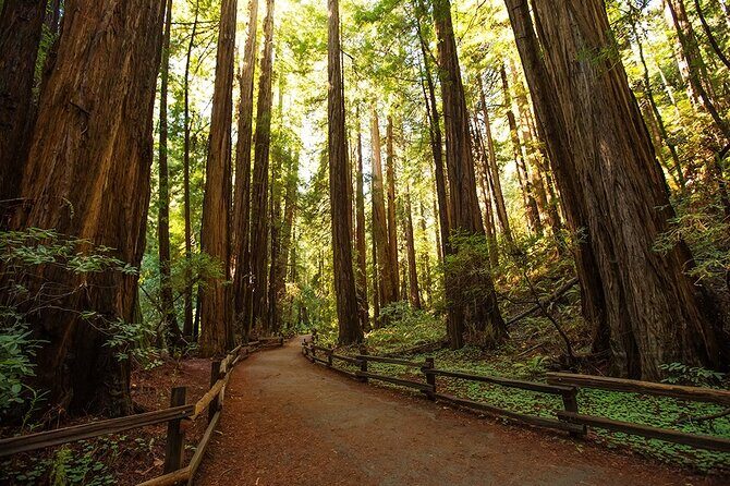 Alcatraz Muir Woods Express with Golden Gate Bridge Visit - The real value: beating ticket stress and saving a rental car day