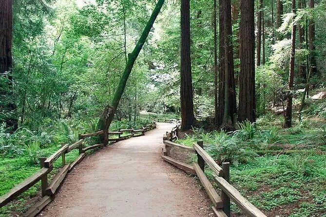Alcatraz Muir Woods Express with Golden Gate Bridge Visit - Muir Woods: a 70-minute self-guided walk that rewards early timing