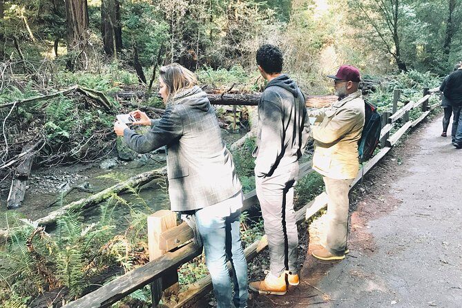 Amazing Muir Woods and Sausalito Tour - Timing and total duration: plan for close to half a day