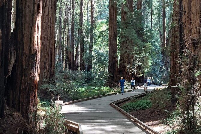 Amazing Muir Woods and Sausalito Tour - Price and value: what $89 plus extras really means
