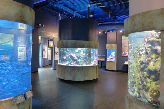 Aquarium of the Bay General Admission Ticket - Pier 39 location: pair it with a full day on the Embarcadero