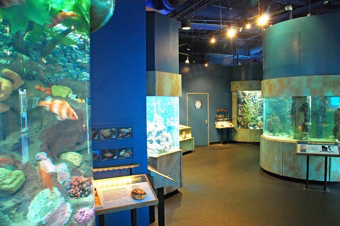 Aquarium of the Bay General Admission Ticket - Mobility, elevators, and what to plan if you need extra help