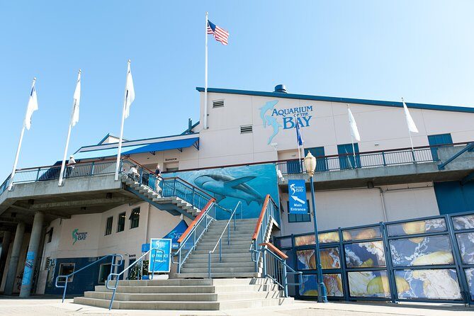 Aquarium of the Bay General Admission Ticket - Timing tips so you don’t feel rushed (or disappointed)