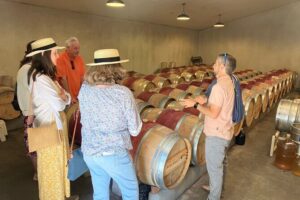 Best Private Wine Tours of Napa Valley-Sonoma for up to 8 people - San Francisco Pickup to Napa and Sonoma Without the Headache
