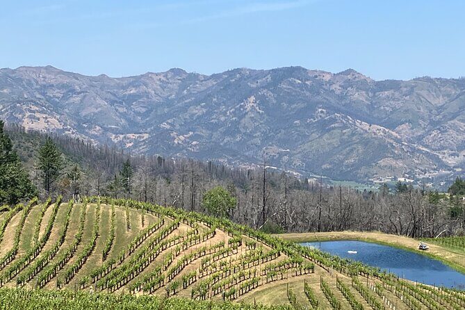 Best Private Wine Tours of Napa Valley-Sonoma for up to 8 people - Custom Itinerary Planning: How to Get Exactly Your Kind of Wine Day