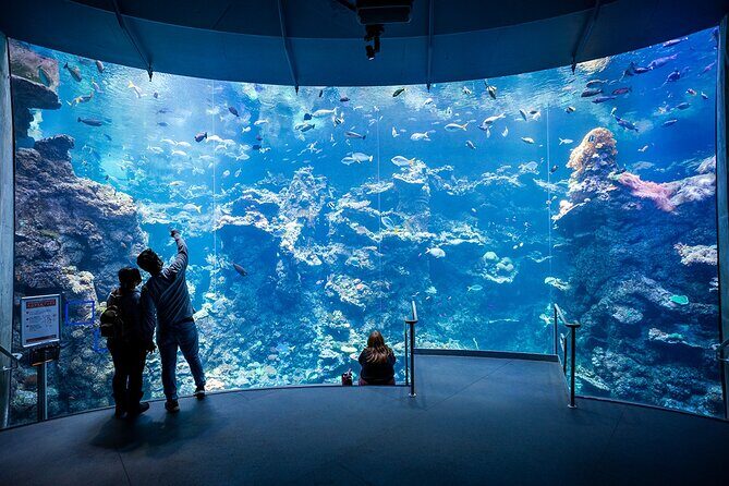 California Academy of Sciences General Admission Ticket - Instant-access entry in Golden Gate Park