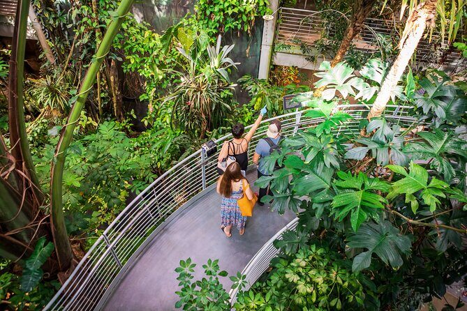 California Academy of Sciences General Admission Ticket - The main museum: giant scale exhibits and California-focused science