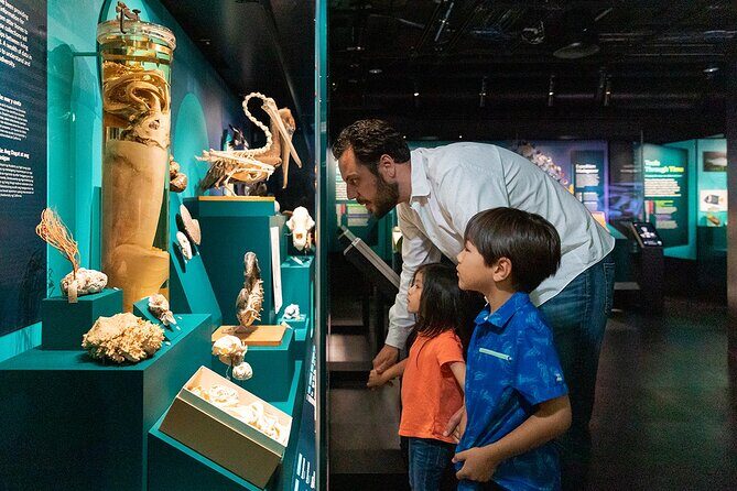 California Academy of Sciences General Admission Ticket - A simple game plan for 3 to 5 hours without feeling rushed