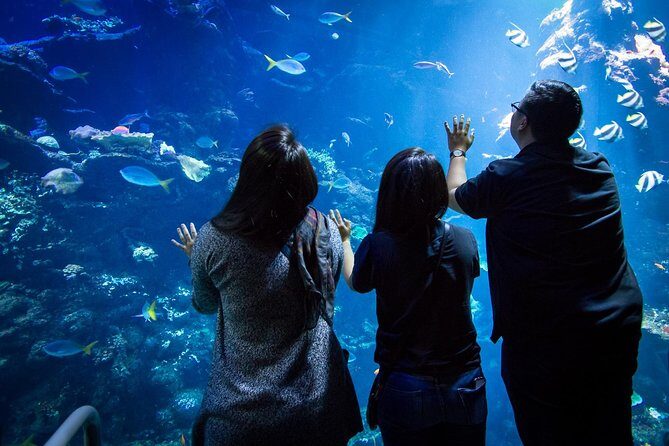 California Academy of Sciences NightLife Admission Ticket - African Hall moments and the “museum-with-music” pacing