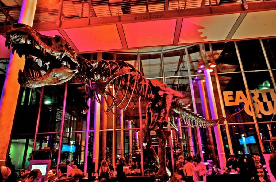 California Academy of Sciences Thursday NightLife Admission - The aquarium side: penguins and Claude the albino alligator