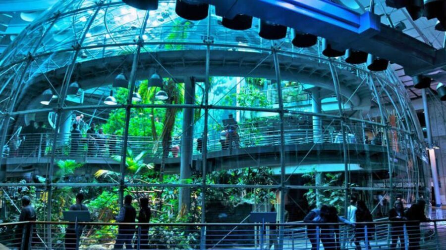 California Academy of Sciences Thursday NightLife Admission - Planetarium shows in the 75-foot theater: plan for the extra $5