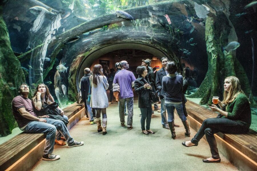 California Academy of Sciences Thursday NightLife Admission - Music, bars, and the monthly NightLife theme