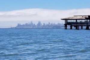 Combo Small-Group Tour: SF City plus Muir Woods & Sausalito - The schedule: a long day split into two guided halves
