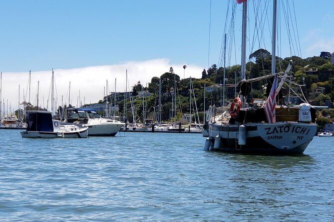 Combo Small-Group Tour: SF City plus Muir Woods & Sausalito - Golden Gate Bridge viewpoints: quick stops in changing weather