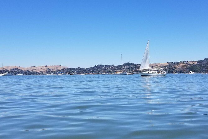 Combo Small-Group Tour: SF City plus Muir Woods & Sausalito - Sausalito waterfront: easy wandering and bay views