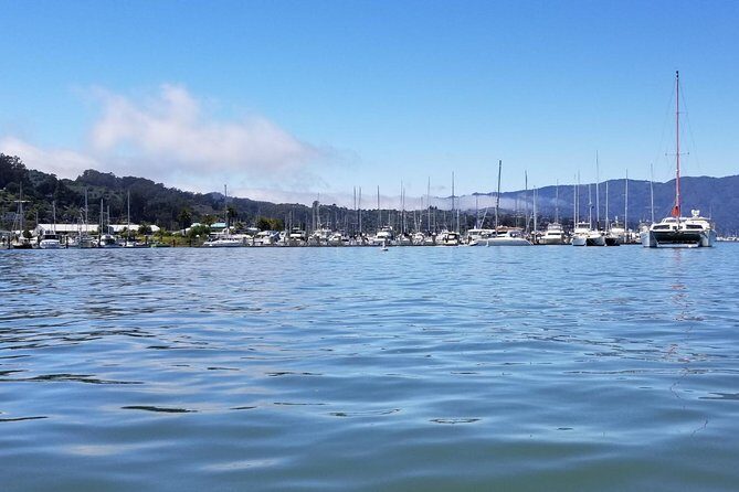 Combo Small-Group Tour: SF City plus Muir Woods & Sausalito - Transportation comfort and what the van time means for your day