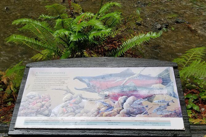 Combo Tour: Muir Woods, Sausalito and Sonoma Wine Country Tour - San Francisco morning: pickup plus a narrated loop of the city