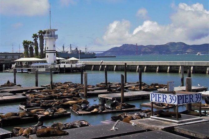 Fisherman's Wharf Walking Tour - Key Takeaways Before You Go