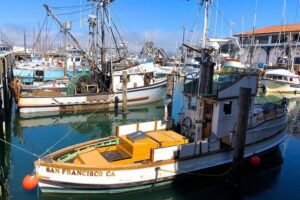 Fisherman's Wharf Walking Tour - Meeting at 700 Beach St: How to Start Without Stress