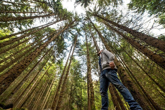 From San Francisco: Alcatraz Island and Guided Muir Woods Tour - What this Alcatraz and Muir Woods combo gives you for $120