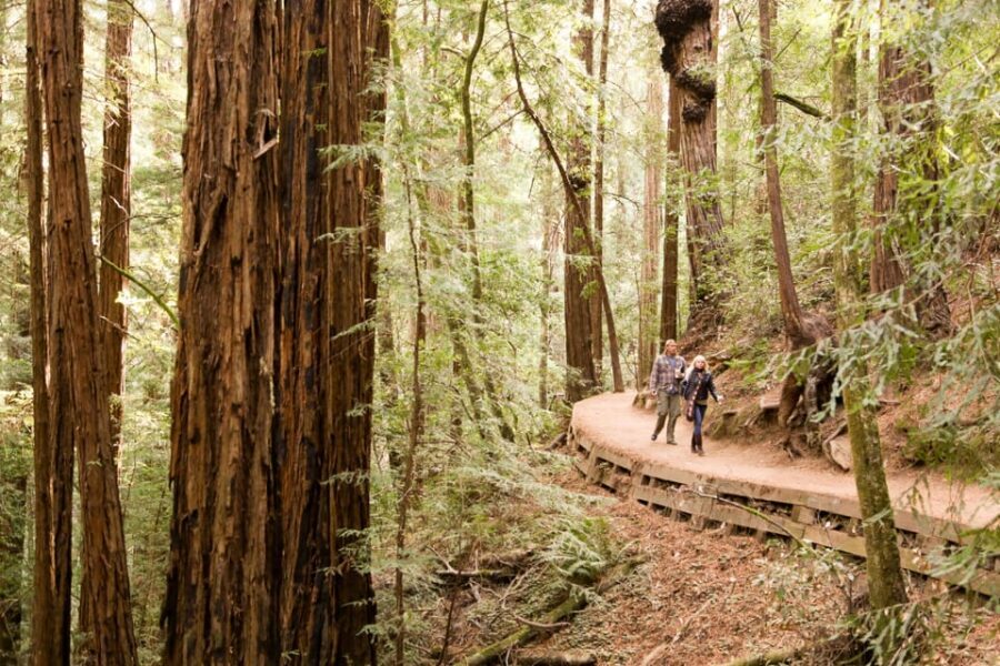 From San Francisco: Alcatraz Night & Muir Woods & Sausalito - Price and Value: What You’re Really Paying For