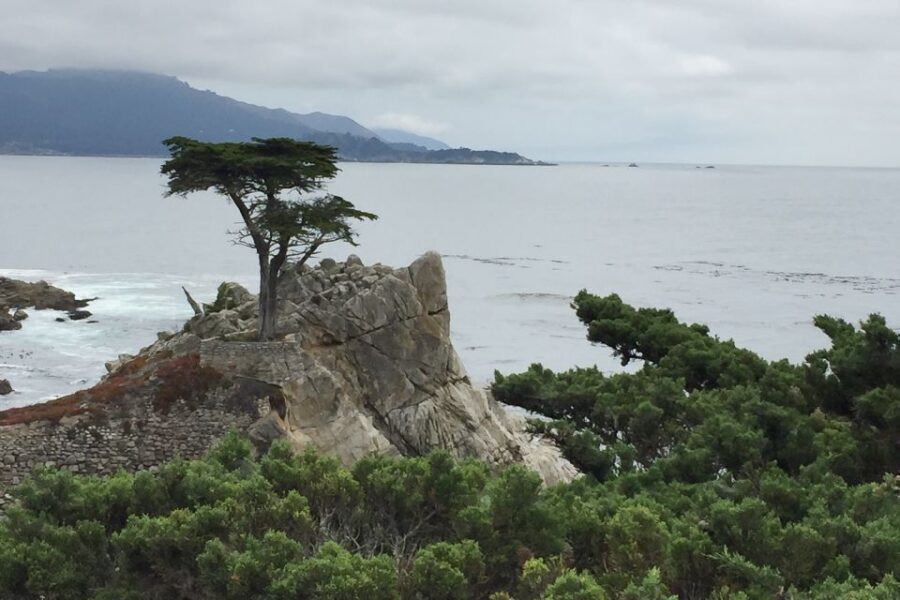 From San Francisco: Carmel, Monterey & Big Sur Private Tour - Why This Private Coast Drive Feels Different From a Bus Day