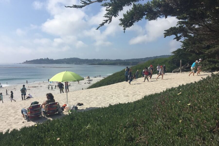 From San Francisco: Carmel, Monterey & Big Sur Private Tour - Carmel by Road: Mission Stops, Architecture, and Quick Overlook Detours