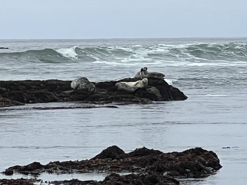 From San Francisco: Carmel, Monterey & Big Sur Private Tour - 17-Mile Drive Through the Pebble Beach Area (and How to Use It Well)