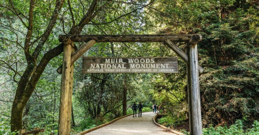 From San Francisco: Guided Muir Woods Tour - Key highlights you’ll care about