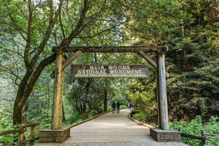 From San Francisco: Guided Muir Woods Tour - Muir Woods National Monument in 90 minutes: how to use your time