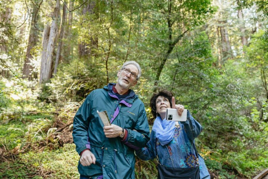 From San Francisco: Guided Muir Woods Tour - Price and value: why $77 can work (and when it won’t)