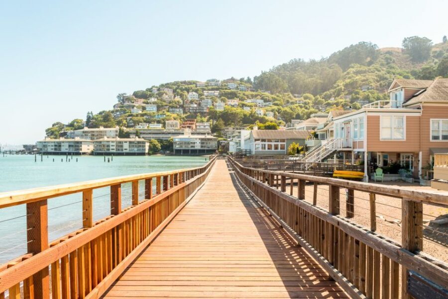 From San Francisco: Guided Tour to Muir Woods - Marin Headlands to Muir Woods: What to Expect on Arrival