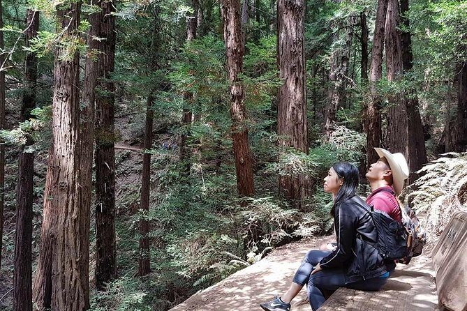 From San Francisco: Guided Tour to Muir Woods and Sausalito - Timing, weather, and what to pack