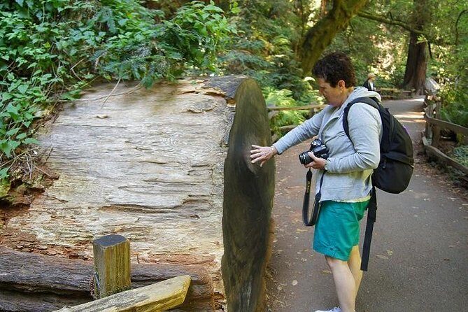 From San Francisco: Guided Tour to Muir Woods and Sausalito - Group experience: guides, noise levels, and staying on schedule