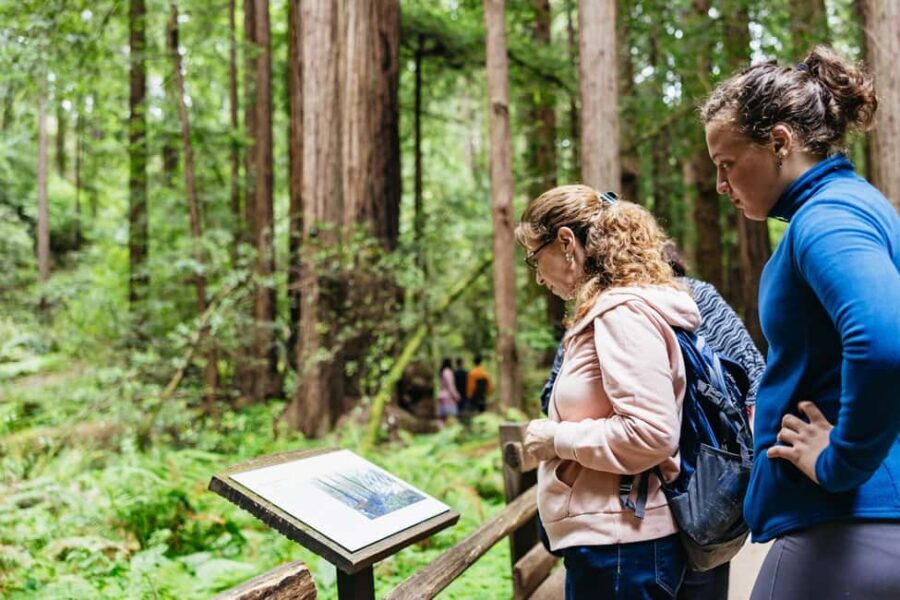 From San Francisco: Muir Woods, Sausalito and Alcatraz Tour - Who This Tour Fits Best (and Who Should Rethink It)