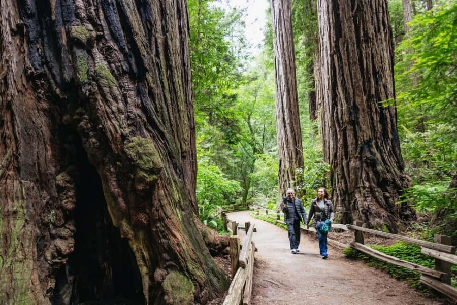 From San Francisco: Muir Woods, Sausalito and Alcatraz Tour - Golden Gate Bridge Photo Stop: Quick, But Worth It