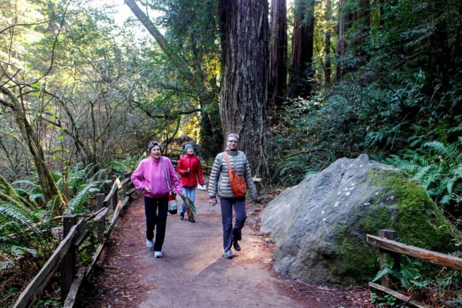 From San Francisco: Muir Woods Wine Tour with Napa & Sonoma - Should You Book the Muir Woods Wine Tour with Napa and Sonoma?