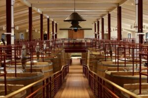 From San Francisco: Napa & Sonoma Valley Full-Day Wine Tour - Getting Started: Fisherman’s Wharf Check-In and What You Need