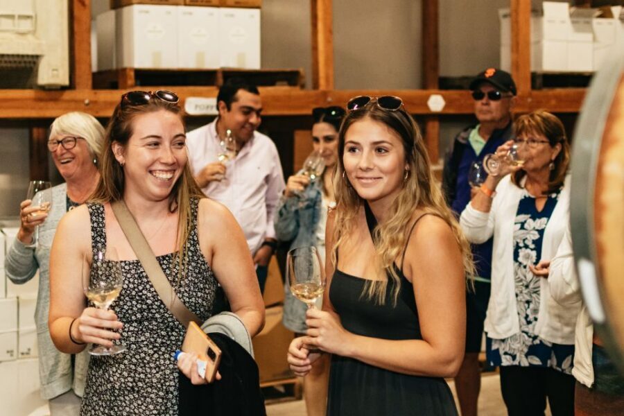 From San Francisco: Napa & Sonoma Valley Full-Day Wine Tour - Price and Value: Is $140 a Fair Trade for What You Get?