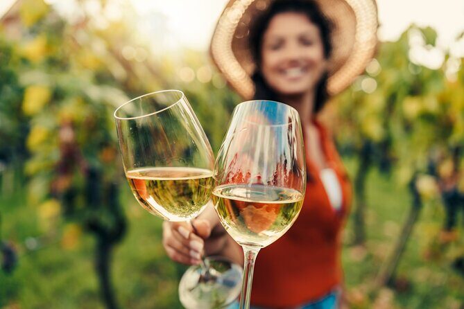 From San Francisco: Napa & Sonoma Valley Wine Tour with Tastings - Half-Day vs Full-Day: Choose Based on Sonoma, Not Just Napa