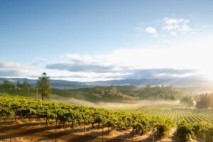 From San Francisco: Napa & Sonoma Valley Wine Tour with Tastings - The Ride Through the Bay: Golden Gate Bridge and Sausalito Pass-By Time
