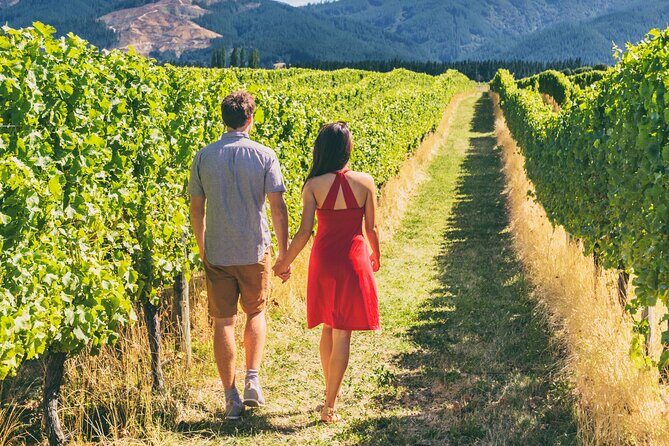 From San Francisco: Napa & Sonoma Valley Wine Tour with Tastings - Napa Valley Winery Time: Learn, Taste, Walk the Rows