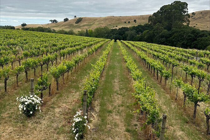 From San Francisco: Napa & Sonoma Valley Wine Tour with Tastings - Value for the Price: Why This Isn’t Just a Scenic Bus Day