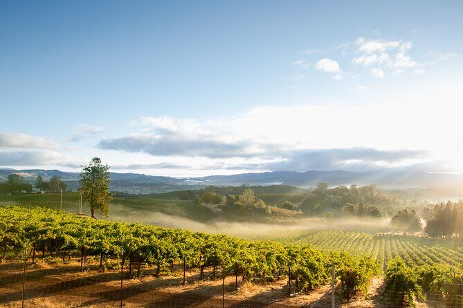 From San Francisco: Napa & Sonoma Valley Wine Tour with Tastings - The Ride Through the Bay: Golden Gate Bridge and Sausalito Pass-By Time