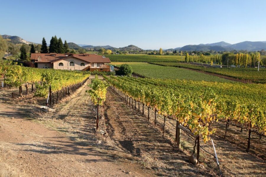 From San Francisco: Napa Valley Private Tour - Picking 2 to 3 wineries: the secret to getting value